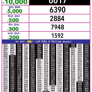 Dear Lottery Chart 2024