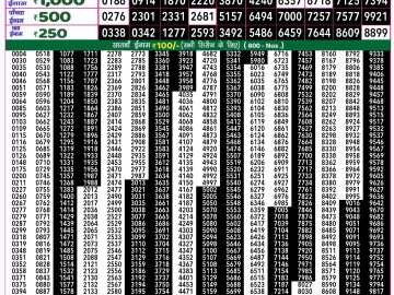 Dear Lottery Chart 2024