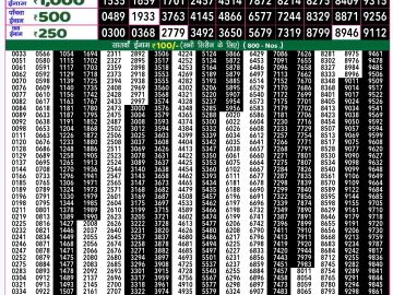 Dear Lottery Chart 2024