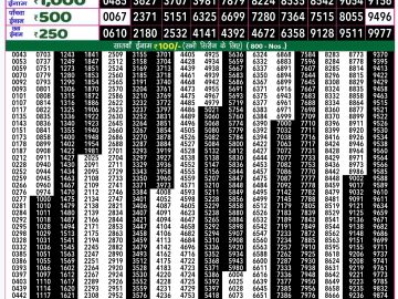 Dear Lottery Chart 2024