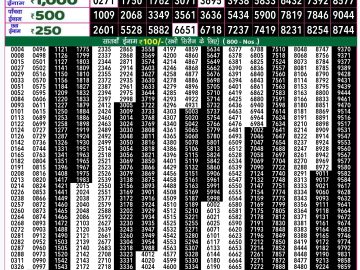 Dear Lottery Chart 2024