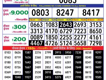 Dear Lottery Chart 2024