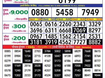 Dear Lottery Chart 2024