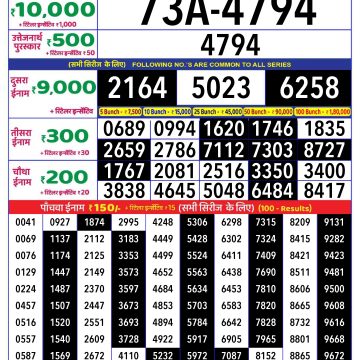 Dear Lottery Chart 2024