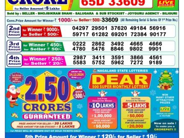 Dear Lottery Chart 2024