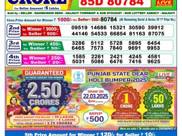 Dear Lottery Chart 2024