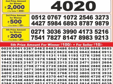 Dear Lottery Chart 2024