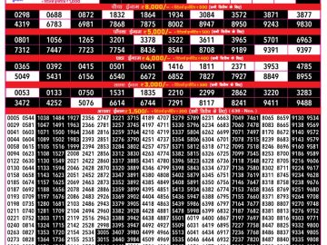 Dear Lottery Chart 2024