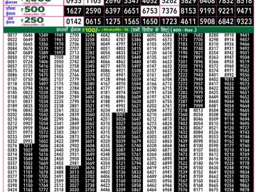 Dear Lottery Chart 2024