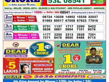 Dear Lottery Chart 2024