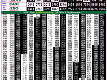 Dear Lottery Chart 2024