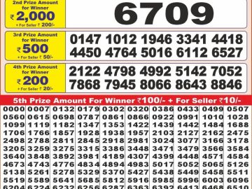 Dear Lottery Chart 2024