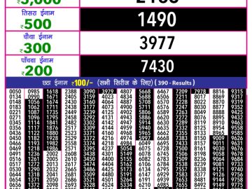 Dear Lottery Chart 2024