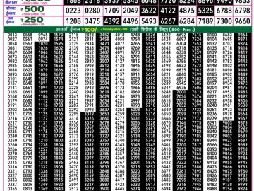 Dear Lottery Chart 2024