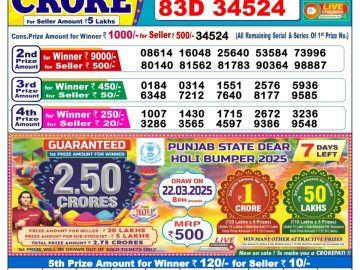 Dear Lottery Chart 2024