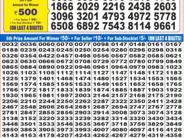 Dear Lottery Chart 2024