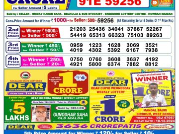 Dear Lottery Chart 2024