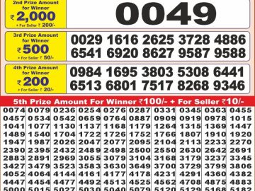 Dear Lottery Chart 2024