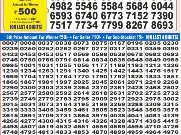 Dear Lottery Chart 2024