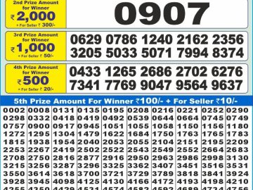 Dear Lottery Chart 2024