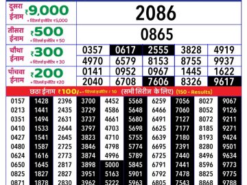 Dear Lottery Chart 2024