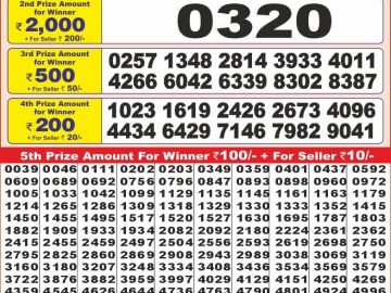 Dear Lottery Chart 2024