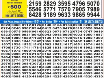 Dear Lottery Chart 2024