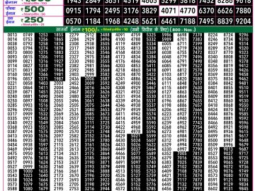 Dear Lottery Chart 2024